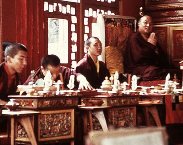 XVI Karmapa 2